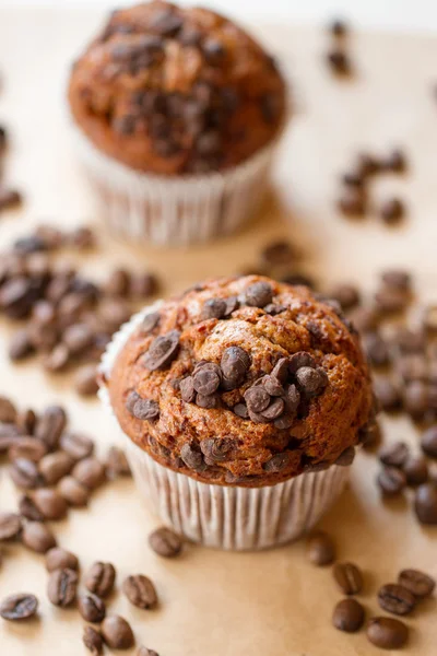 Magdalenas de chocolate con café —  Fotos de Stock