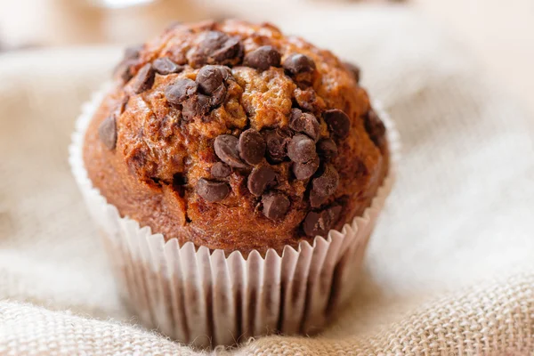 Homemade muffin with chocolate chips — Stock Photo, Image