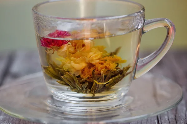 异国情调绿茶与花在杯 — 图库照片