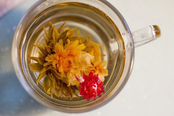 Thé vert exotique avec des fleurs en tasse — Photo