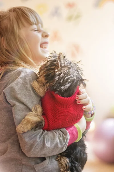 Lány gyermek egy kiskutya, Yorkshire Terrier — Stock Fotó