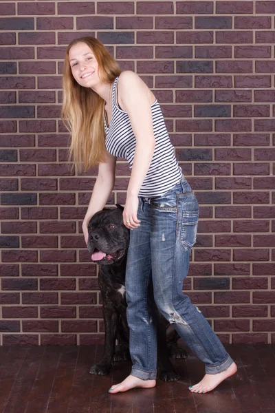 Menina em jeans de pé perto da parede e abraçando um cão cana Corso — Fotografia de Stock