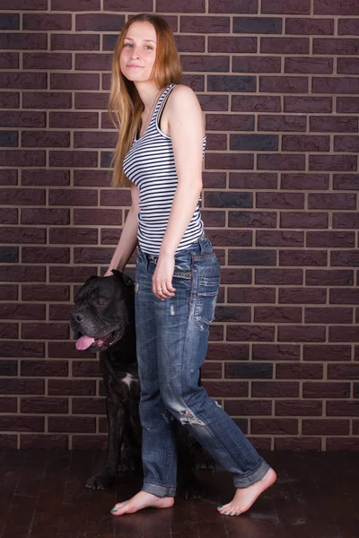 Girl in jeans and shirt standing near a big dog Cane Corso — Stock Photo, Image