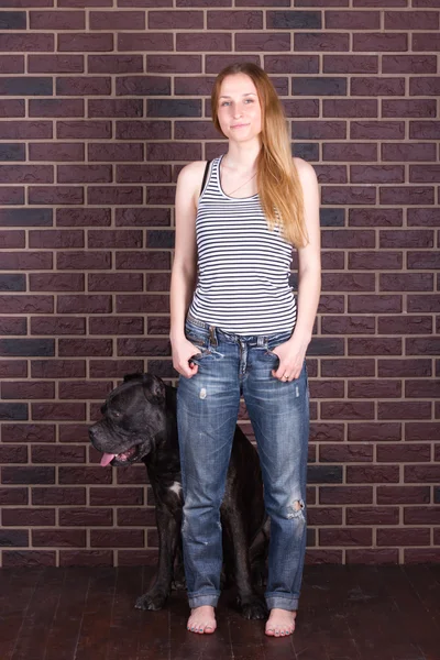 Fille en jeans, chemise debout près du mur et étreignant un chien Cane Corso — Photo