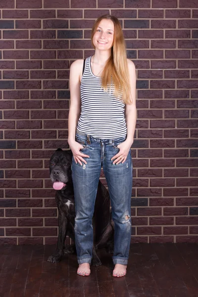 Girl in jeans and shirt standing near the wall hugging a Cane Corso — Stock Photo, Image