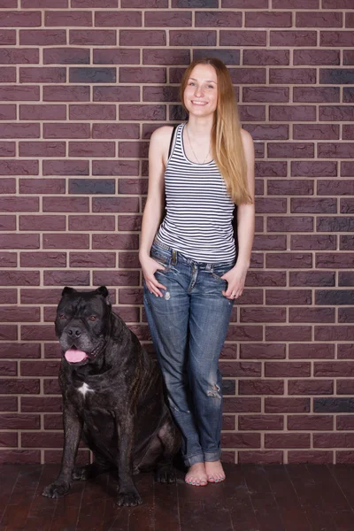 Fille en jeans et chemise debout étreignant un gros chien Cane Corso — Photo