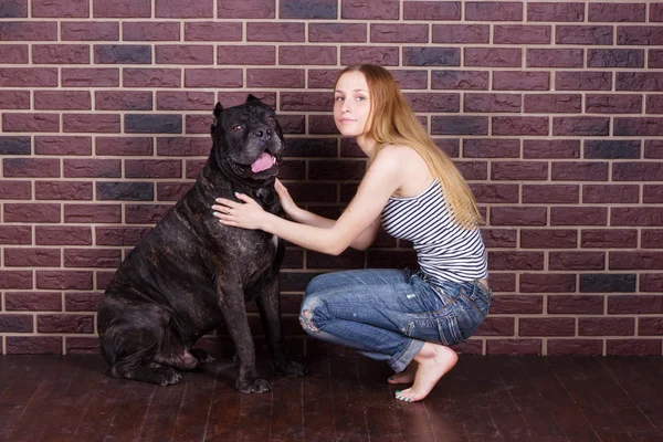 Chica en jeans y camiseta se sentó cerca de la pared abrazando a un perro grande Cane Corso —  Fotos de Stock