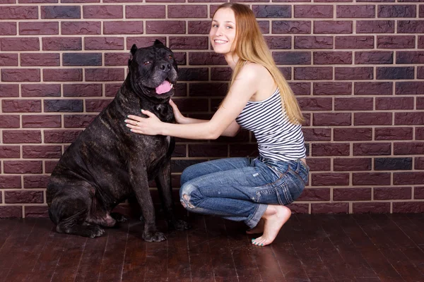 Girl hugging a big dog Cane Corso — Stock Photo, Image