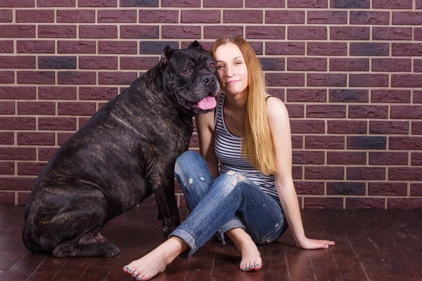 Tuğla duvar yanında köpeği Cane Corso yakınındaki oturan kız — Stok fotoğraf