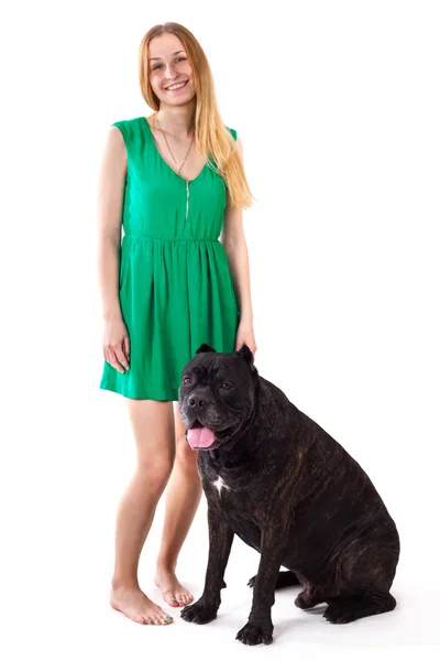 Chica en vestido verde de pie junto a un perro grande Cane Corso —  Fotos de Stock