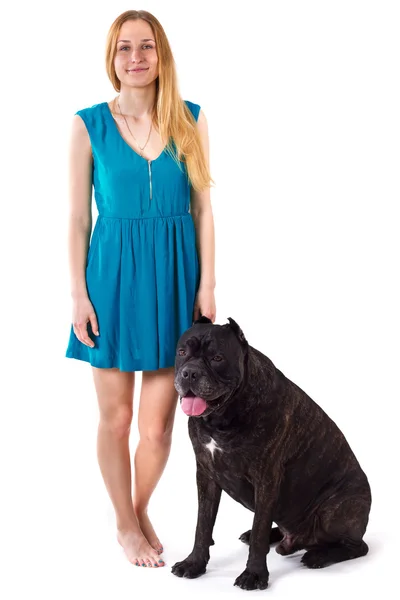 Fille en robe bleue debout à côté d'un grand chien Cane Corso — Photo