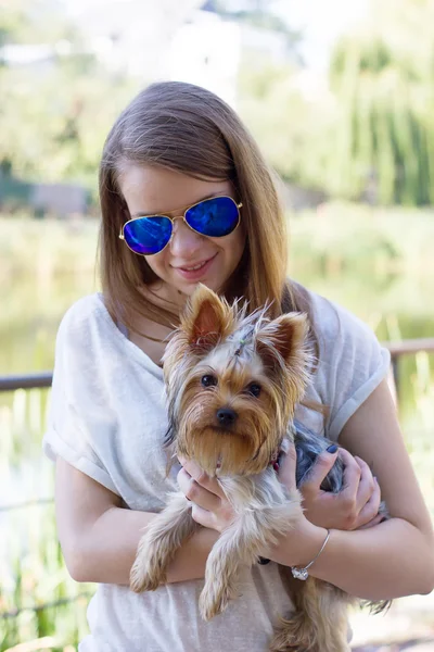 Szczęśliwa młoda dziewczyna właściciela z pies yorkshire terrier — Zdjęcie stockowe