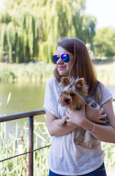 Szczęśliwa młoda dziewczyna właściciela z pies yorkshire terrier — Zdjęcie stockowe