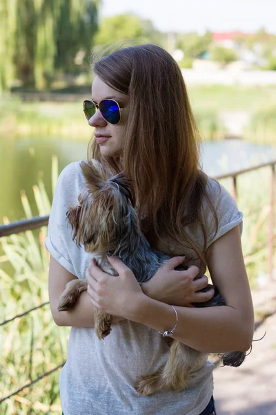 Boldog fiatal lány tulajdonos yorkshire terrier kutya — Stock Fotó