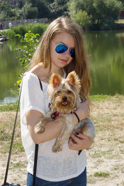 Boldog fiatal lány tulajdonos yorkshire terrier kutya — Stock Fotó