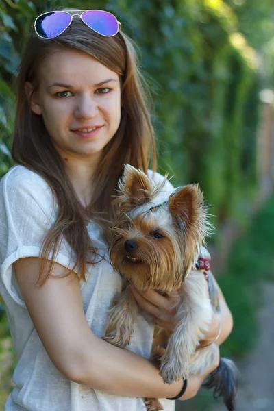 Happy young girl owner with yorkshire terrier dog — Stock Photo, Image