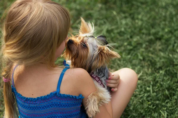 Dziewczyna lat 6 jeden trawa gry z Yorkshire Terrier — Zdjęcie stockowe