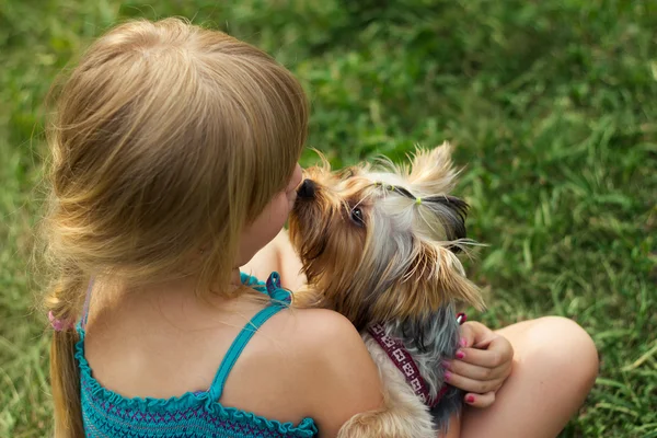 A füvön játszó Yorkshire Terrier 6 éves lány — Stock Fotó