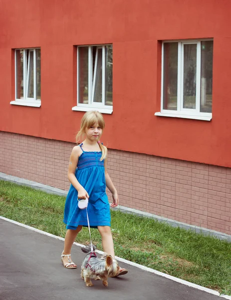 Girl 6 years old walking with a Yorkshire terrier near high-rise building — Stock Photo, Image