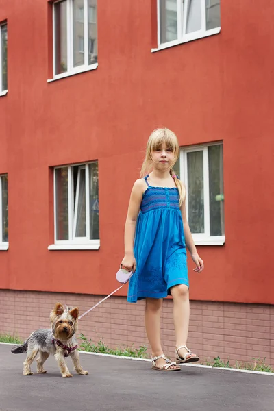 Lány 6 éves gyaloglás-val egy Yorkshire terrier, sokemeletes épület közelében — Stock Fotó