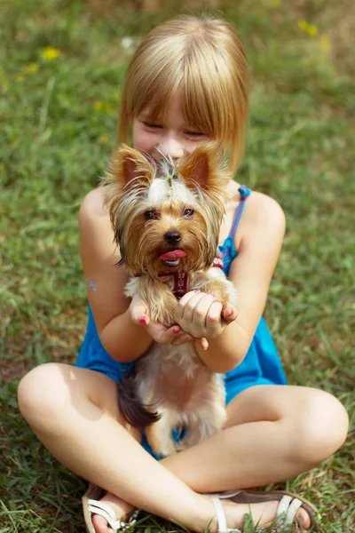 Girl 6 years old sitting on the grass and holds Yorkshire Terrier — Stock Photo, Image