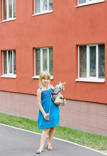 Girl 5years with Yorkshire terrier in her arms near high-rise building — Stock Photo, Image