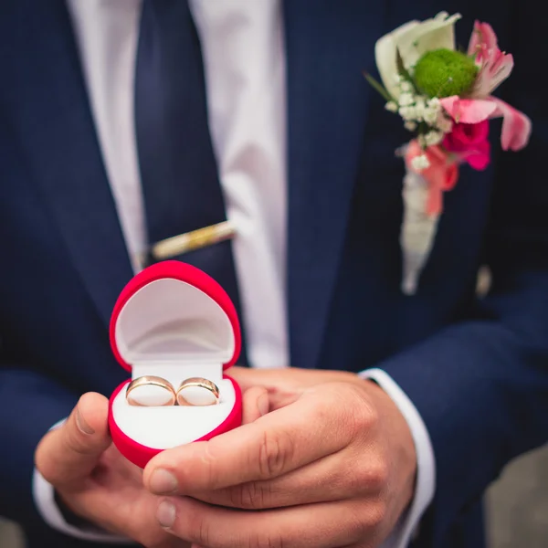 Groom holding wedding rings — Stock Photo, Image