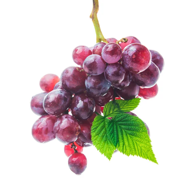Uvas frescas isoladas — Fotografia de Stock
