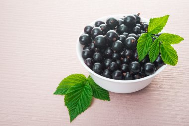 taze Frenk üzümü berry