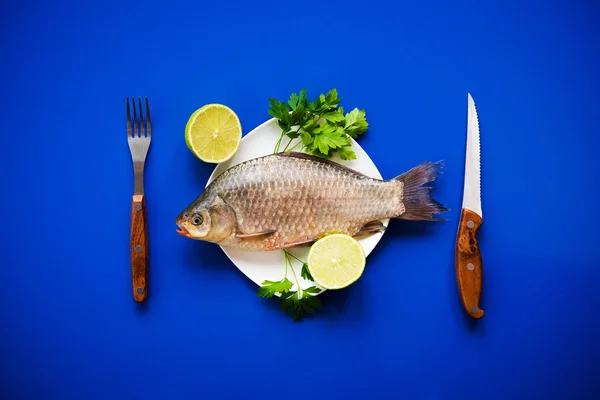 Carpa de peixe fresca — Fotografia de Stock