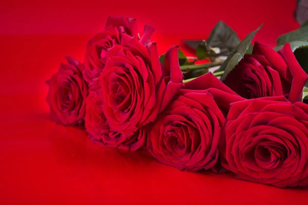 Rose rosse romantiche — Foto Stock