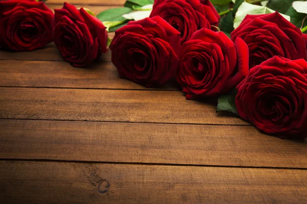 红玫瑰 — 图库照片