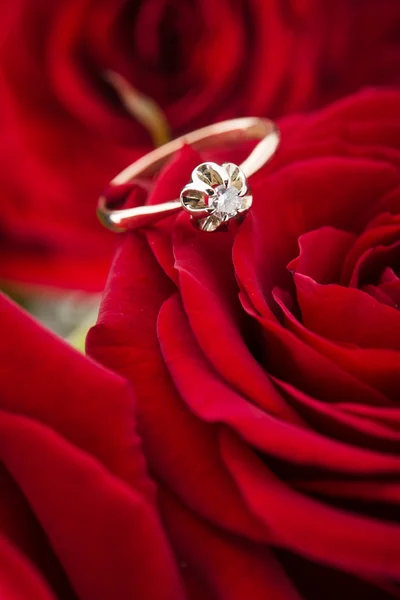 Goldener Ring auf rose Stockbild