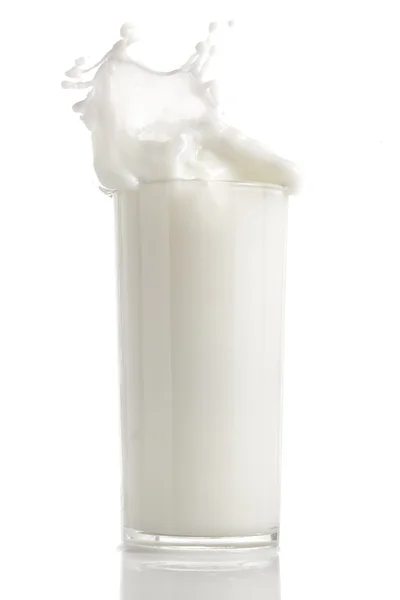 Fresh splash of milk — Stock Photo, Image