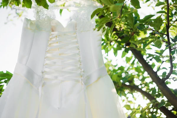Vestido de noiva na árvore — Fotografia de Stock