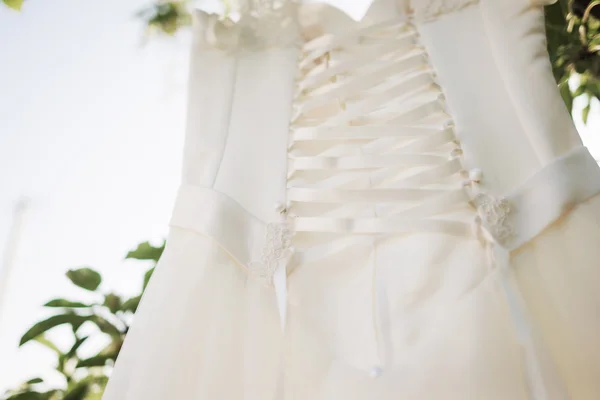 Vestido de novia en árbol — Foto de Stock