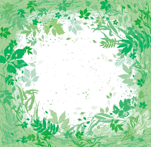 Varias hierbas y hojas volando alrededor. Marco de suave flora verde claro Vector de stock