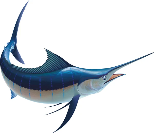 Pesce azzurro Marlin — Vettoriale Stock