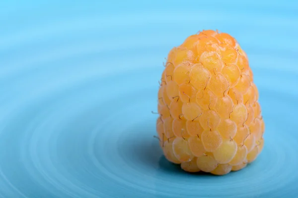 Niesamowity szczegół dojrzałych malin pomarańczowy — Zdjęcie stockowe