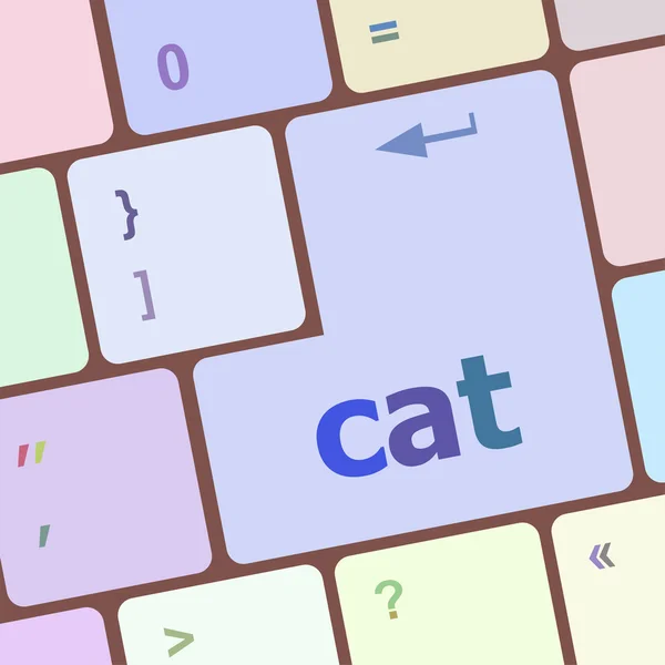 Palavra gato no computador pc teclado chave vetor ilustração — Vetor de Stock