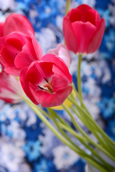 Rosa frische Tulpenblüten auf ursprünglichem Hintergrund — Stockfoto