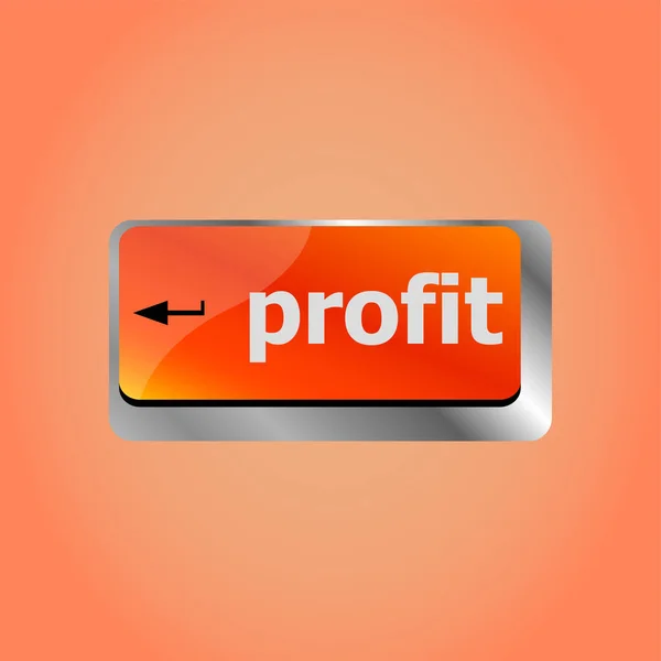 Profit Key Showing Returns Internet Businesses — Stock Photo, Image