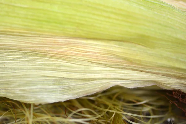 Makro peel kukuřice — Stock fotografie