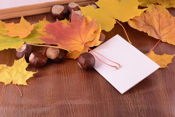 Grunge background with autumn leaves and empty paper frame — Stock Photo, Image