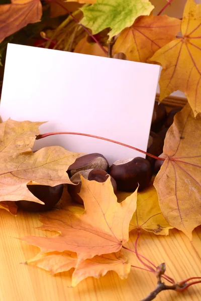 Fond avec feuille de papier et feuilles d'automne — Photo