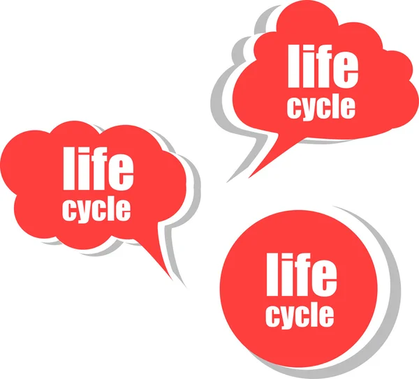 Levenscyclus. aantal stickers, etiketten, tags. sjabloon voor infographics — Stockfoto