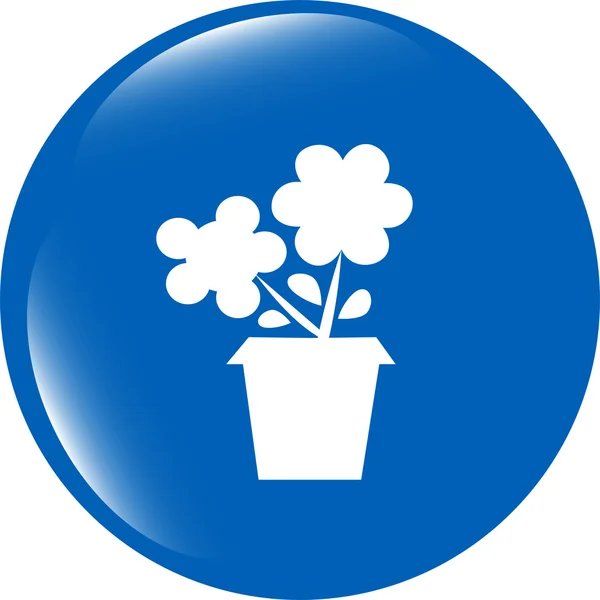 Kwiat web przycisków na stronie internetowej lub aplikacji na białym tle — Zdjęcie stockowe