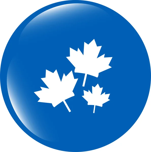 Maple leaf pictogram op web knop geïsoleerd op witte achtergrond — Stockfoto