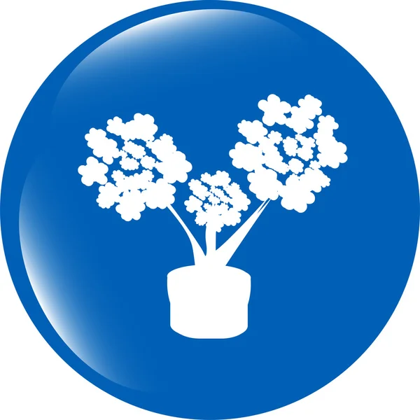 꽃 아이콘 버튼 응용 프로그램 웹 흰색 배경에 고립 — 스톡 사진