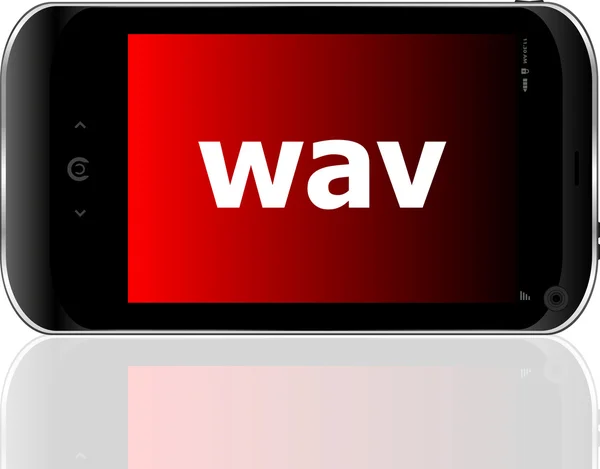 Concetto di sviluppo web: smartphone con word wav sul vettore display — Vettoriale Stock